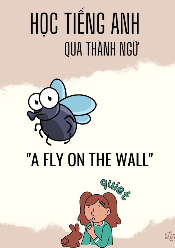 A fly on the wall - học tiếng anh qua thành ngữ Linh3t